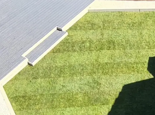 Newly laid turf lawn meeting the edge of grey composite decking
